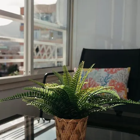 Apartamento Saltillo Alto Sunset Balcony *
